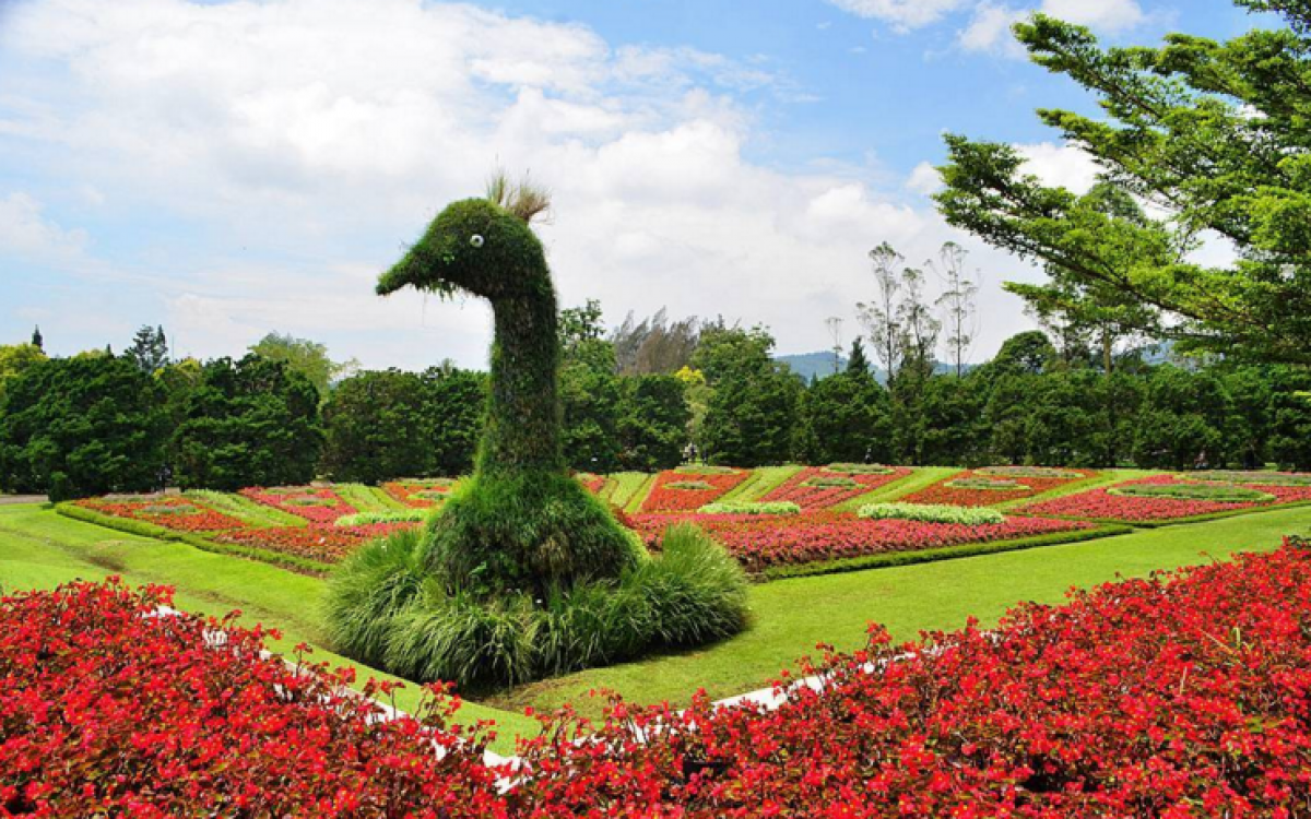 Taman Bunga Nusantara Wisata Indah di Jawa Barat - Jawa Barat