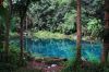 Telaga Nila Keeksotikan Telaga Biru di Jawa Barat