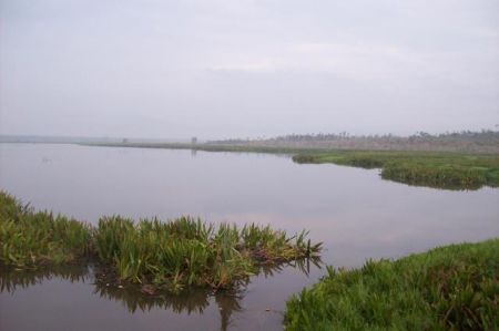 Danau Napangga Riau