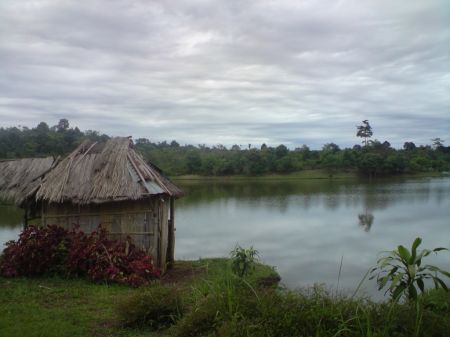 Danau Tes Bengkulu