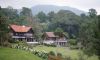 Kebun Raya Cibodas Wisata Alam Pilihan Keluarga di Jawa Barat