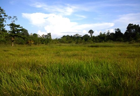 Taman Nasional Rawa Aopa Watumohai Sulawesi Tenggara