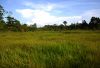 Taman Nasional Rawa Aopa Watumohai Pesona di Sulawesi Tenggara