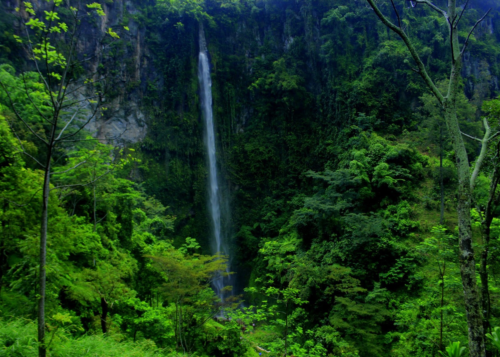 Air Terjun Kali Pancur Yang Penuh Keindahan Alam Di Jawa