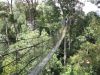 Bukit Bangkirai Wisata Hutan Hujan Tropis di Kalimantan Timur