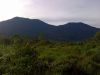Gunung Tandikat Tempat Asyik Untuk Berpetualang di Sumatera Barat