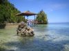 Pulau Kadidiri taman laut yang sangat mempesona di Sulawesi Tengah