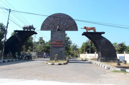 Taman Margasatwa Semarang Jawa Tengah