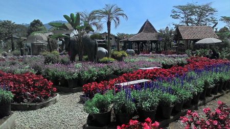 Taman Bunga Begonia Jawa Barat