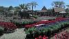 Taman Bunga Begonia Kawasan Wisata Favorit di Lembang Jawa Barat