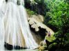 Air Terjun Batanta Pemandangan Menakjubkan di Kepulauan Raja Ampat Papua Barat