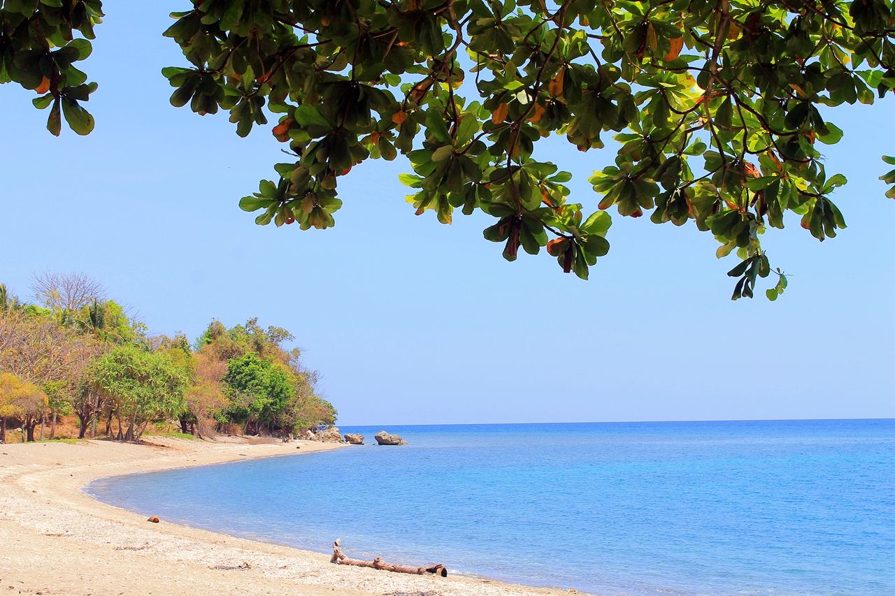 Pantai Ai Loang Pemandangan Mempesona di Nusa Tenggara 