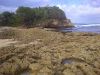 Pantai jonggring saloko Fenomena Alam Unik di Malang Jawa Timur