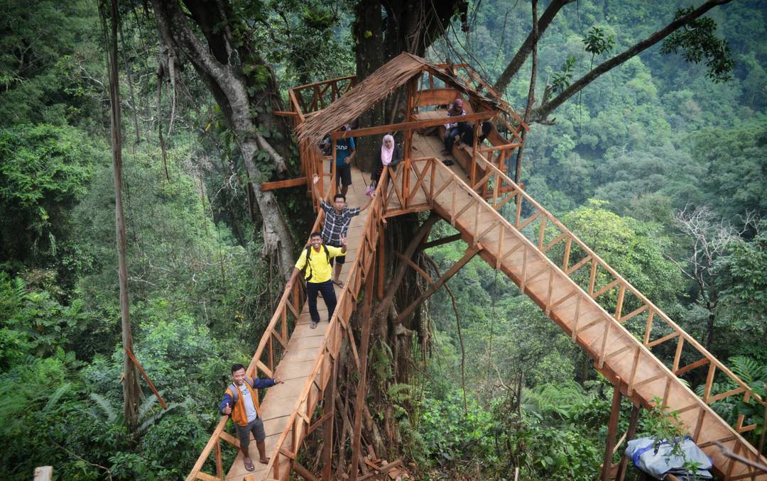Rumah Pohon Tombo Selfie Dengan Suasana Sejuk di Jawa 