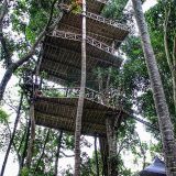 Rumah Pohon Temega Pesona Wisata Baru di Bali