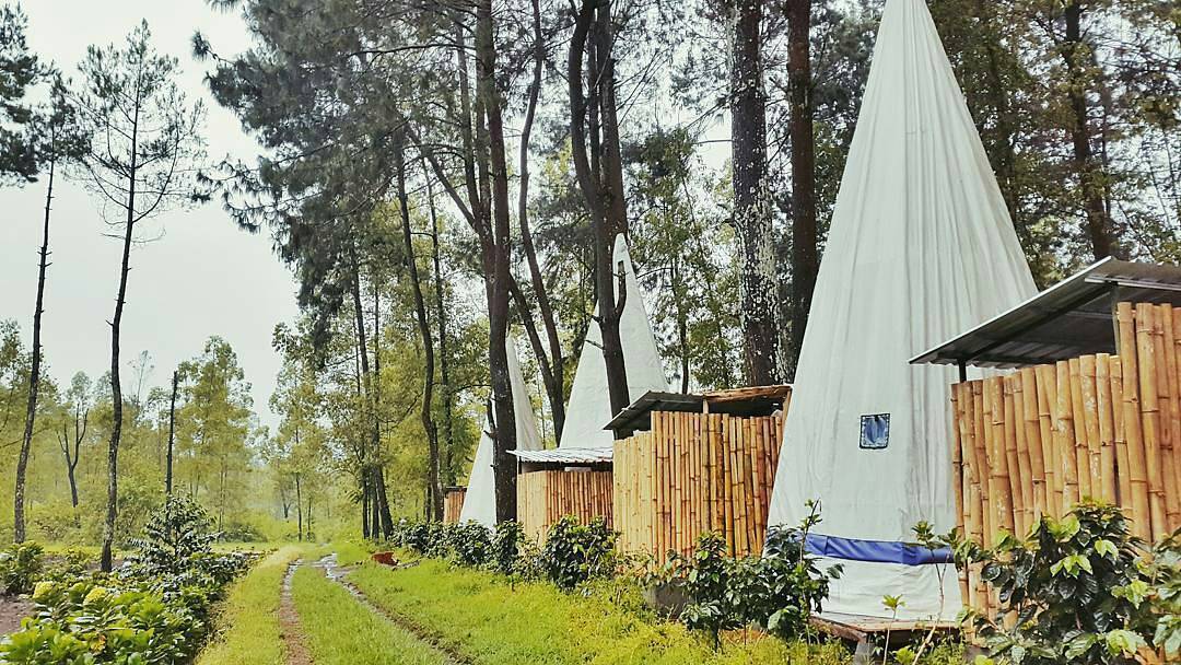 Apache Camp Lokasi Wisata Baru yang Keren di Malang Jawa