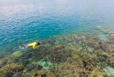 Pulau Petong Surga Snorkeling Tersembunyi di Kepulauan Riau