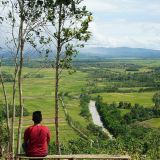 Bukit Blitarejo Lampung Pemandangan Persawahan yang Memanjakan Mata