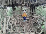 Goa Pinus Batu yang Sanggup Menghipnotis di Malang