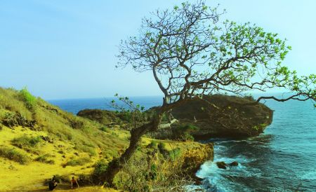 Pantai Kesirat Yogyakarta