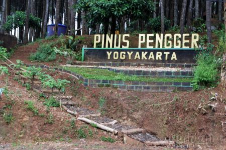 Pinus Pengger Yogyakarta