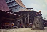 Fahombo Tradisi Unik di Nias Sumatera Utara