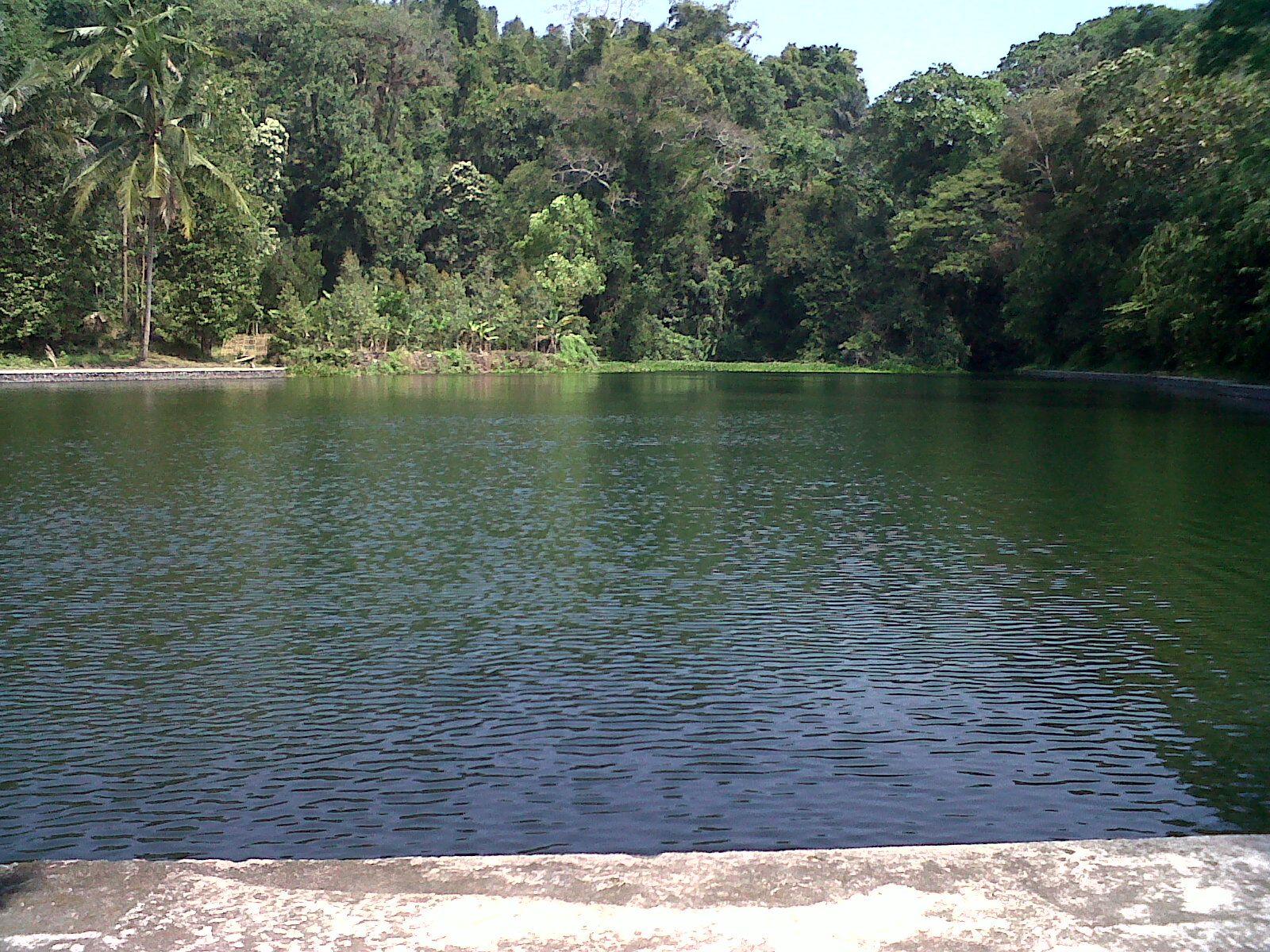  Situ  Cipanten Wisata Alam Perawan di  Majalengka Jawa  Barat  