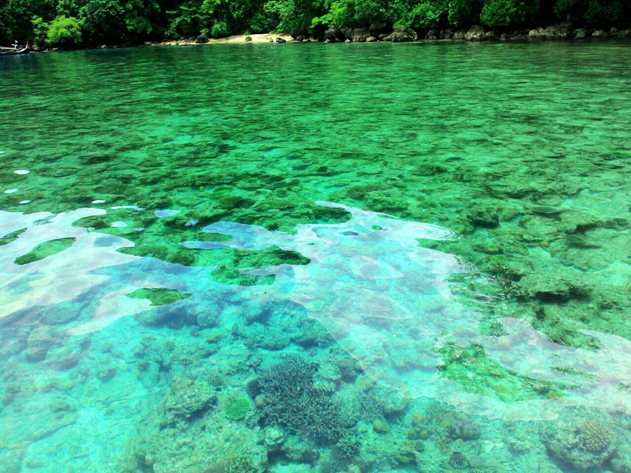 Teluk Banyu Biru Keindahan Bawah Laut Tersembunyi Di Jawa Timur Jawa Timur