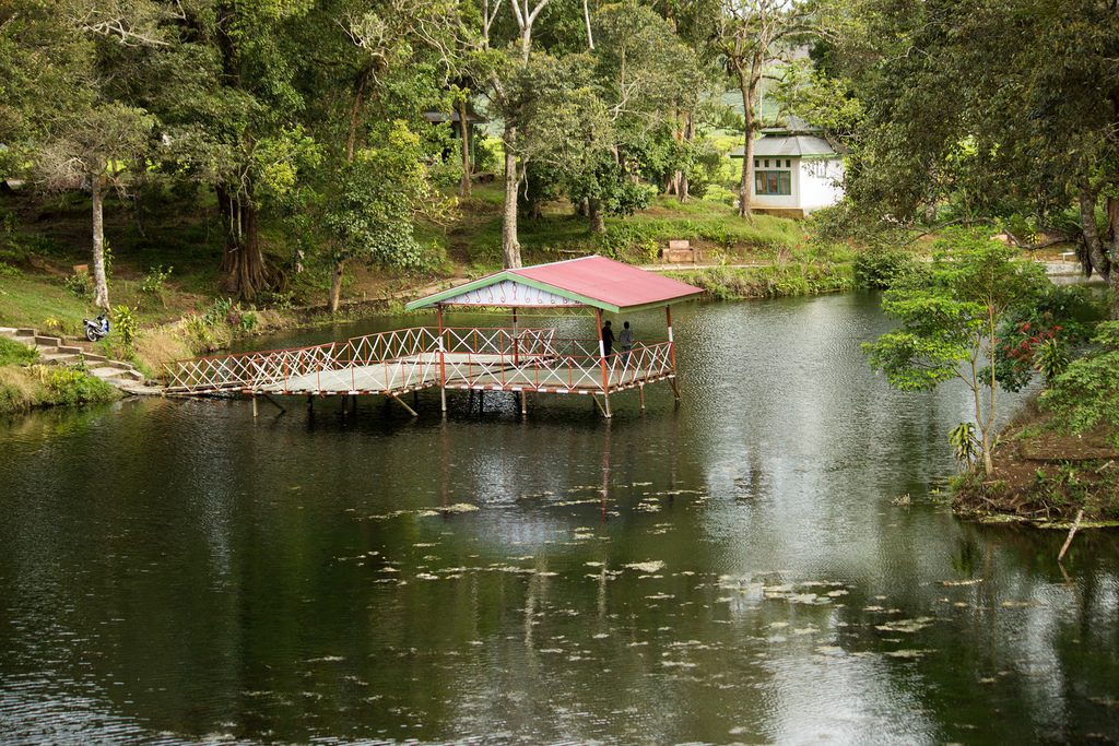 Aroma Pecco Danau Cantik di Tengah Kebun Teh Jambi  Jambi 