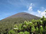 Gunung Semeru Jawa Timur Keindahan Gunung Tertinggi di Pulau Jawa