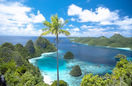 Kepulauan Raja Ampat Papua Barat