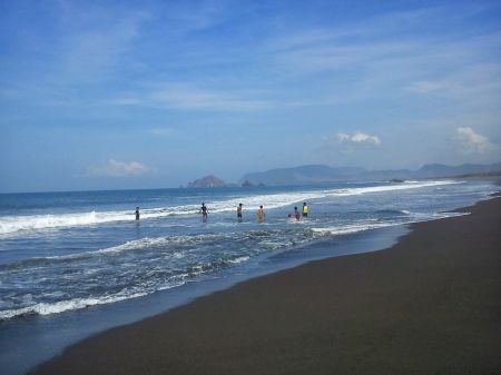 Pantai Rowo Cangak Jember Jawa Timur