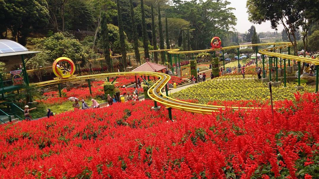 Selecta Taman Bunga Cantik Di Batu Jawa Timur - Jawa Timur