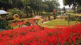 Selecta Taman Bunga Cantik di Batu Jawa Timur