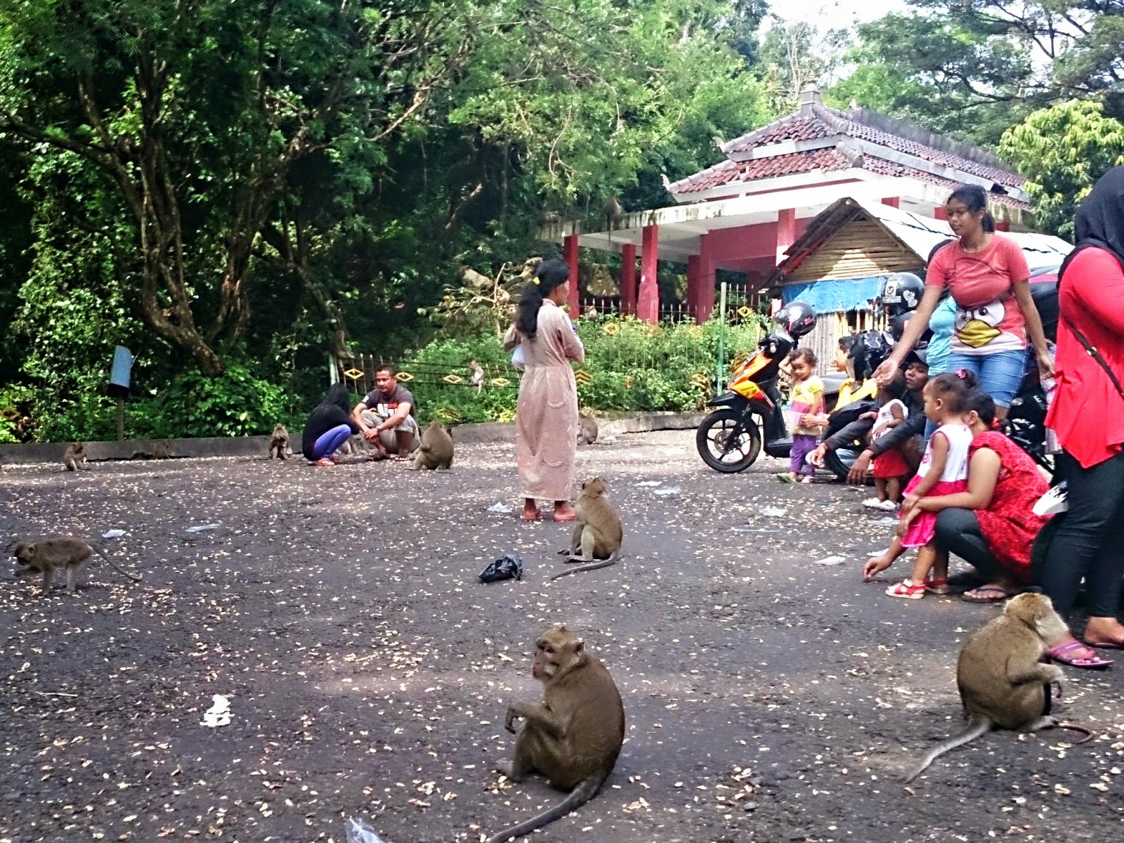 Wisata Alam Plangon Tempat Rekreasi yang Menarik di Jawa
