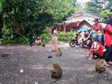 Wisata Alam Plangon Tempat Rekreasi yang Menarik di Jawa Barat