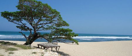 Pantai Pok Tunggal Gunungkidul Yogyakarta
