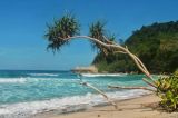 Pantai Sanggar Tempat Wisata Yang Elok Dan Asri Di Tulungagung Jawa Timur