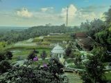Lembah Gunung Madu Wisata Alam yang Tersembunyi di Boyolali Jawa Tengah