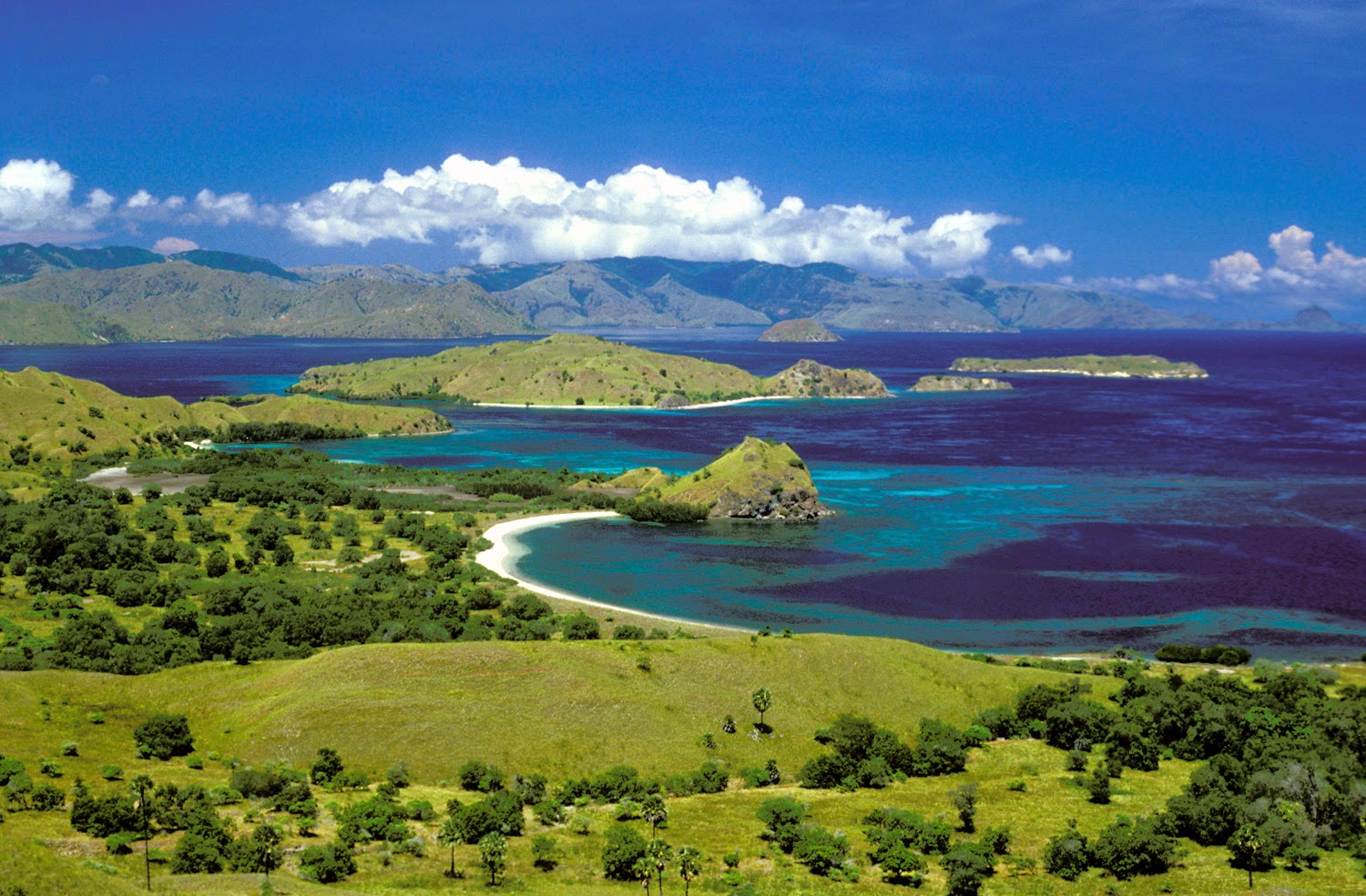 Pulau Komodo, Nusa Tenggara Timur | Sumber: KSM Tour