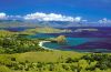 Pulau Komodo Eksotisme Hewan Purba di Nusa Tenggara Timur