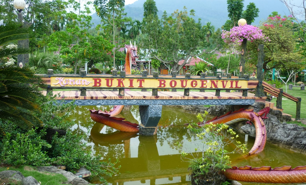 Taman Bukit Bougenville Indahnya Taman Bunga di Singkawang