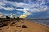Pantai Ujung Pandaran Indahnya Pantai Landai di Kalimantan Tengah