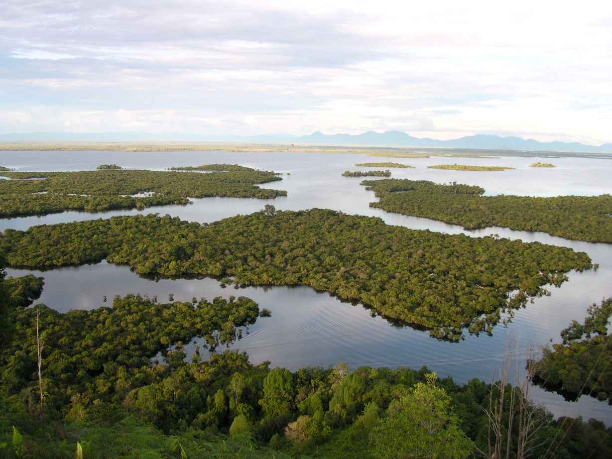 Danau Sentarum Danau Musiman yang Indah di Kalimantan Barat - Kalimantan  Barat