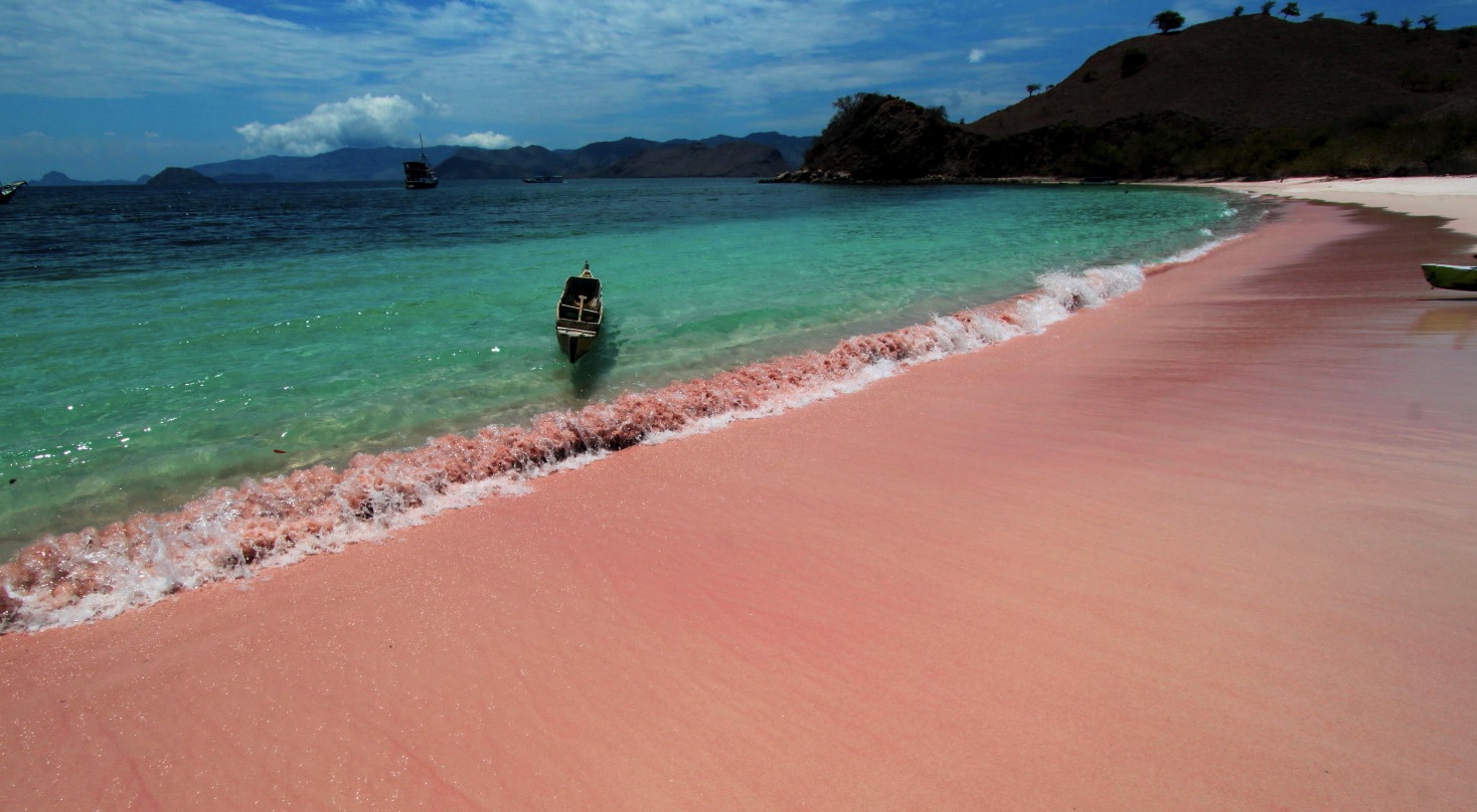 Pink Beach Flores Nusa Tenggara Timur