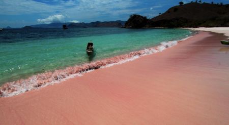 Pink Beach Nusa Tenggara Timur