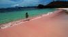 Pink Beach Kemolekan Pantai Merah Jambu di Nusa Tenggara Timur