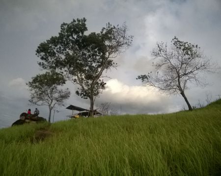 Bukit Tangkiling Kalimantan Tengah