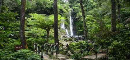 Curug Cilember Jawa Barat