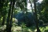 Taman Nasional Gunung Palung Keanekaragaman Hayati Terlengkap di Kalimantan Barat